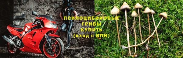 jwh Бугульма