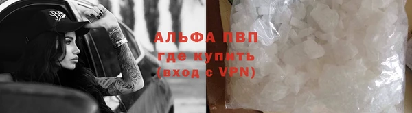 ГАЛЛЮЦИНОГЕННЫЕ ГРИБЫ Бородино