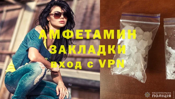 ГАЛЛЮЦИНОГЕННЫЕ ГРИБЫ Бородино