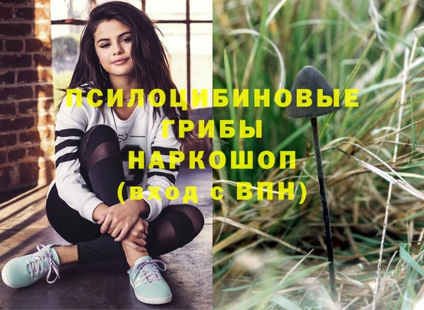круглые Алагир