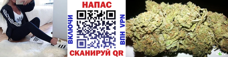 Купить  Велиж  Бошки Шишки THC 21% 